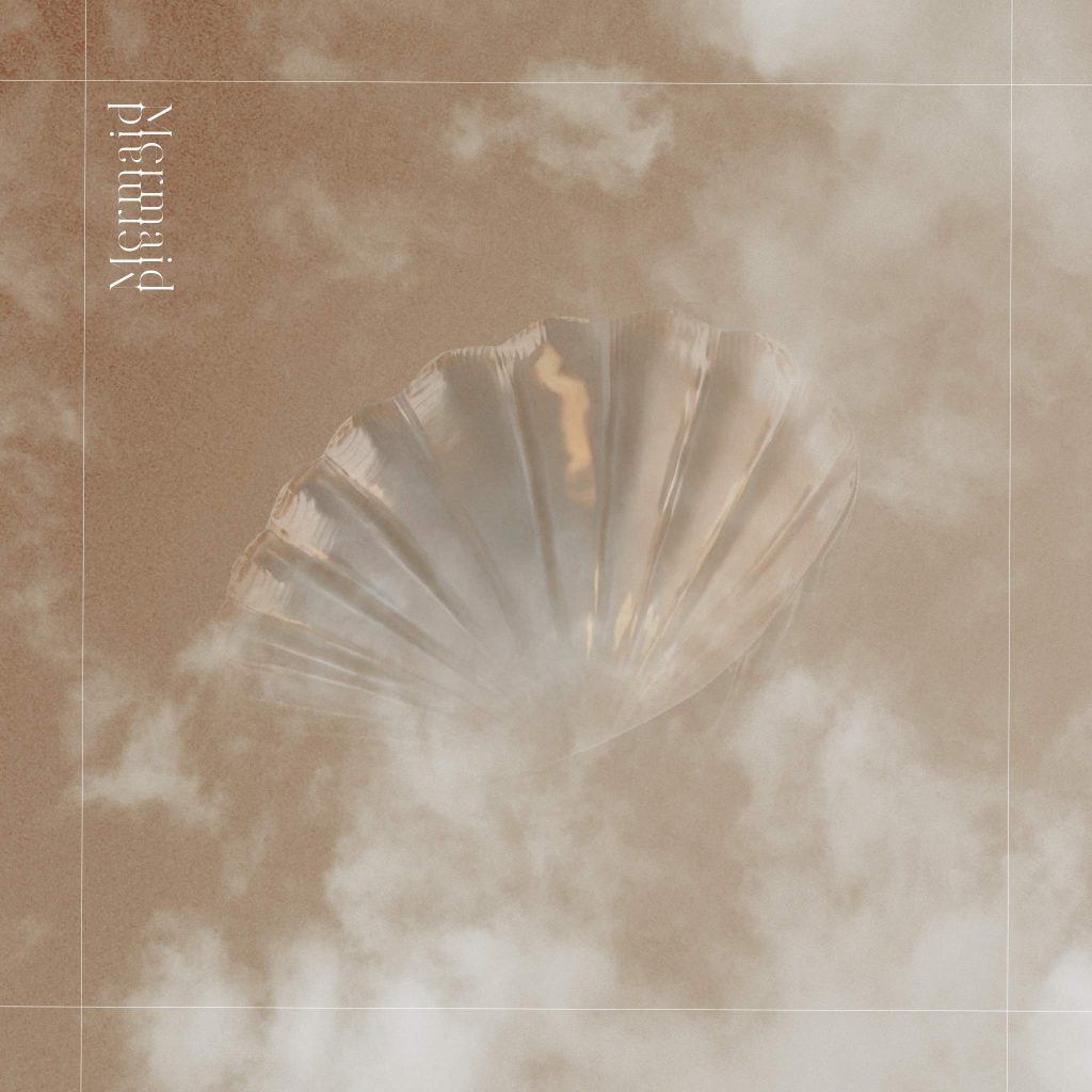 image coquillage marron