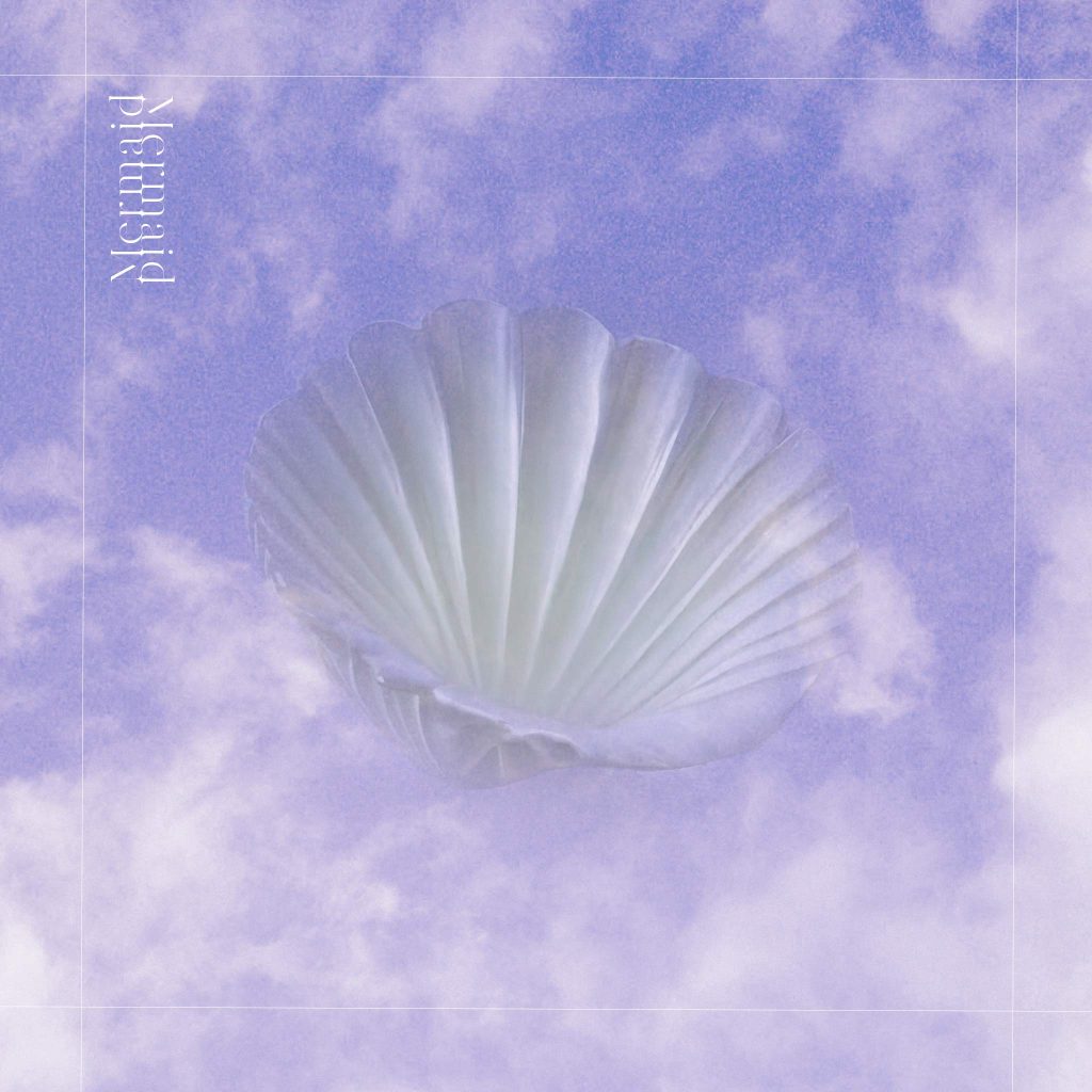 Image coquillage violet